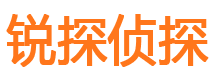 雁山侦探公司